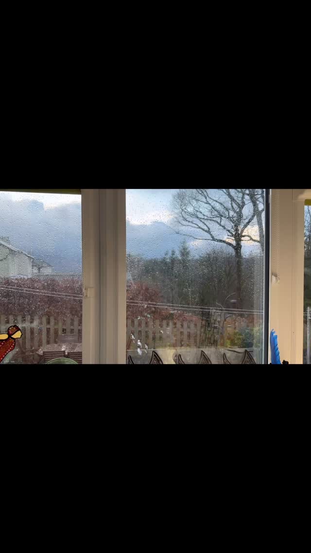 New project!!!
Once completed, this panel will be heading off to a specialist glazing company for encapsulation, before being placed in a stunning rustic aluminium opening porthole frame!
Did you know you can have Stained glass panels placed inside double glazed units? Meaning you can retain heritage beauty and have bespoke art without sacrificing function and energy efficiencyā¦ā¦
#Focused #LakeDisrictArt #StainedGlassWindow #Inspiration #energyefficient
@the_makers_mill @rheged_centre @hare_hill_barn @cumbrialifemag @cumbrialifehomegardenshow @blackwellartsandcrafts @visitambleside @visitwindermere_ @visitkeswick @lakedistrictcumbria @heritagecrafts @bbc @cumberlandcouncil1