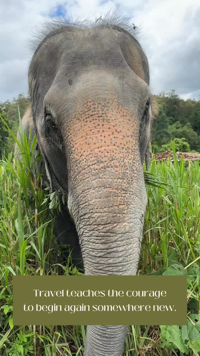 Travel teaches the courage to begin again somewhere new.
Every time you step into a new place, you start as a beginner again. You learn to navigate unfamiliar streets, try new foods, communicate in different ways, and trust yourself when everything feels just a little unknown. That’s where growth happens, in those small moments when you choose curiosity over hesitation.
#travelinspi̇ration #wanderwithpurpose #growththroughtravel #myrooftopstories #thailand