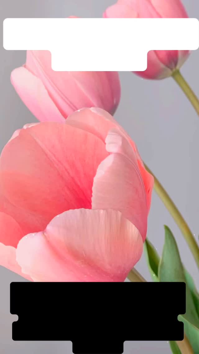 Make Valentine’s 2026 unforgettable — Give your Valentine a beautiful wrapped flower bouquet, chocolates, and a gift card, but then we’ll deliver flowers every week all summer long. That’s 20 bouquets in all. On sale for a limited time. Your Valentine is THAT special. Order: https://wix.to/GXRdwfh #Valentines2026 #FlowersDelivery #LocalFlowers #Romance #GiftIdea