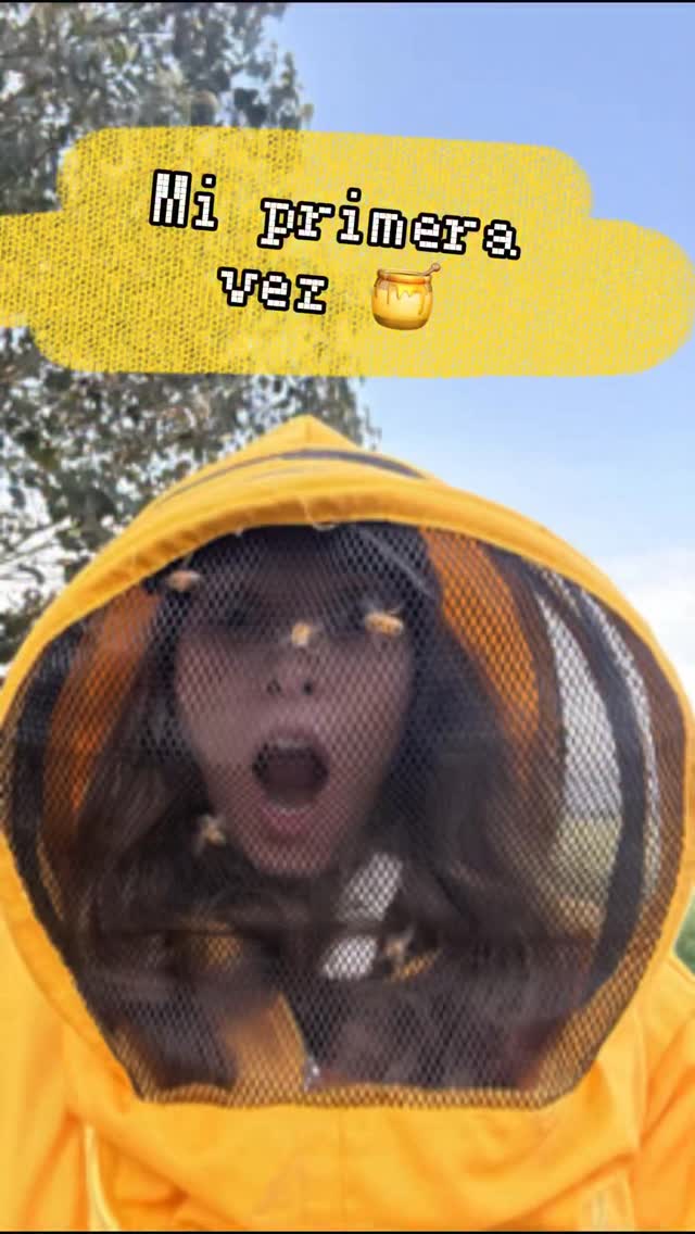 ¿Cuántos de ustedes han comido miel? ¿Cuántos la han ido a sacar? Papi, mami... si la sacaran, pagarían con gusto el precio de una buena miel cuando se las vendiera otro cristiano. 🐝💸
En este video les enseñaré:
1. A mi persona venciendo el miedo.
2. A conjugar el verbo opercular. “Yo operculo, Tú operculas”... 🍑
3. La desnudez de mi ignorancia... 🤡
Todo el mundo sabe que las abejas hacen la miel, pero ¿¿saben para qué la hacen?? ¡Compréndanlo acá! 🍯📖✨
¿Se le medirían a sacar miel? ¿si?, ¿no? Los leo en los comentarios. 👇