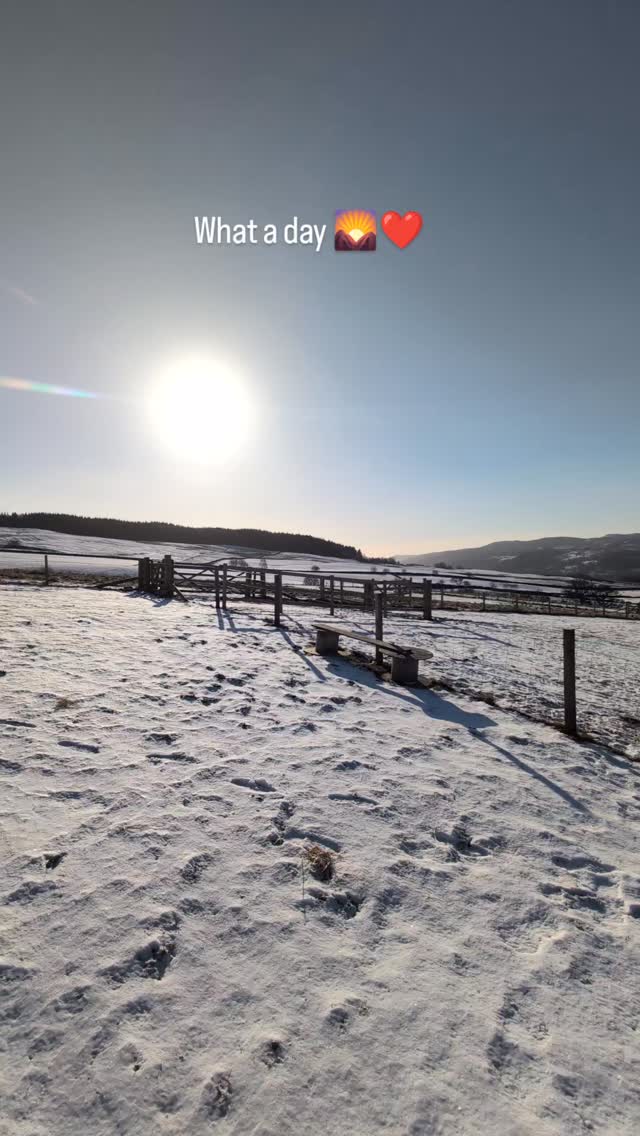 WHAT A DAY βοΈβ€οΈ
Beautiful day here at the farm. It's snowy, cold but stunning!
Animals are all out enjoying the sun and having snow zoomies.
Our wonderful Farrier @pegasusfarriery Rebecca has been out today and given our Donks, Dooney and the Toggenburgs a beautiful manicure β€οΈ
#farmlife
#farmstays
#hobbyfarm
#donkeys
#alpacas