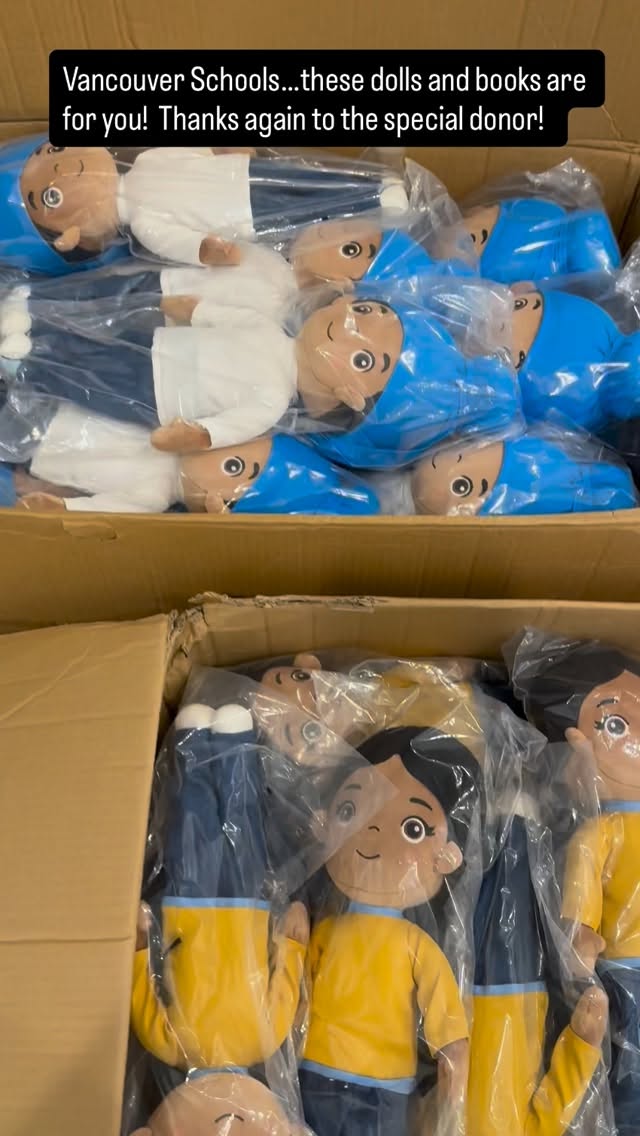 #representationmatters #bipocauthors #diversetoys #sikhkids