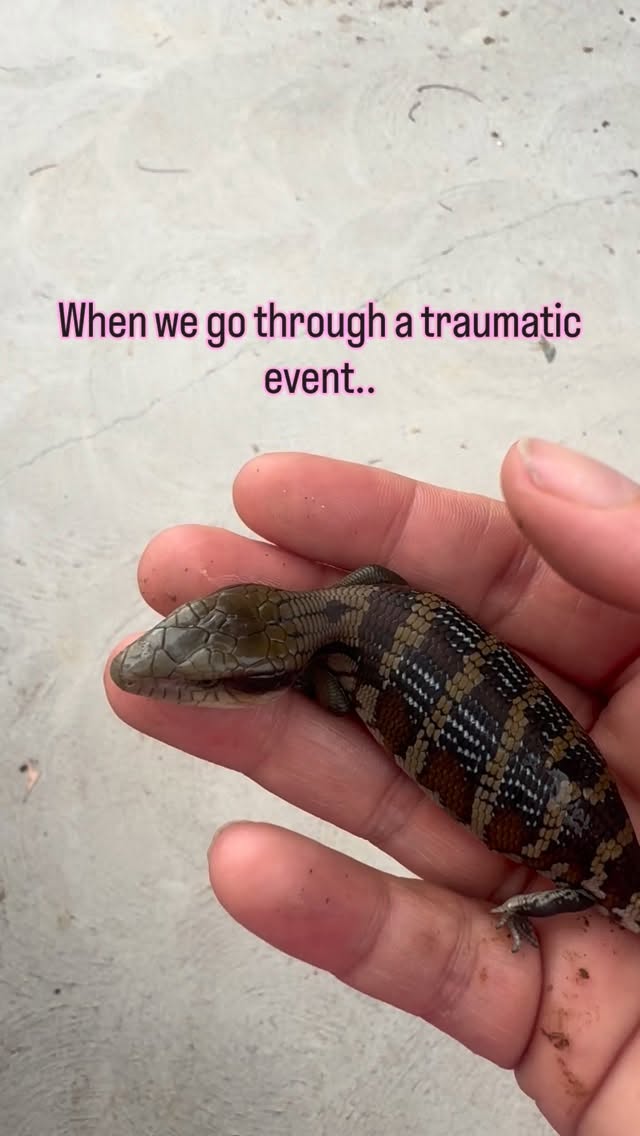 Sometimes we just need some time and understanding from those around us to heal from trauma.
Follow for more
#Healing #follow #mindsetreset #mental #mindset #relatable