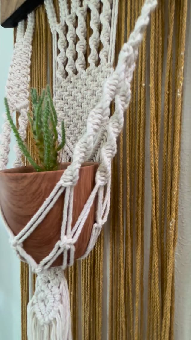 PALMA
Macramé & wood wall panel with integrated live plant.
30 × 115 cm
Made to order.
For boutique interiors and refined residential spaces.
#MacrameArt #handmade #boutiqueinterior #naturaldesign #studioryx