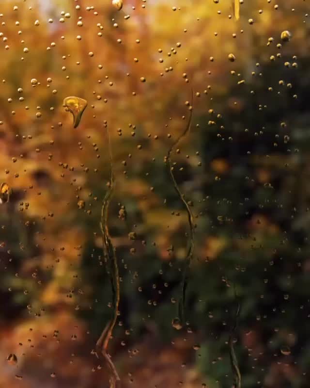 A REMINDER: Be Still God is working!
PRAYER: Holy Spirit, it can be said that, I barely know myself but you understand me completely. I do know that my motives are mostly mixed, my faith is frequently fragile, and my mind is sometimes a mess. Please “teach me your way, LORD, that I may rely on your faithfulness; give me an undivided heart, that I may fear your name,” (Psalm 86:11, NIVUK).
*lectio-365