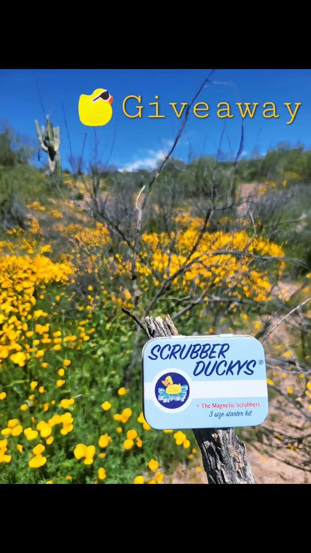 🌼 GIVEAWAY 🦆
Like + follow for a chance 2 win
Tag a friend for 1 single extra entry 🐣
Ends 3/1 in story ✌️