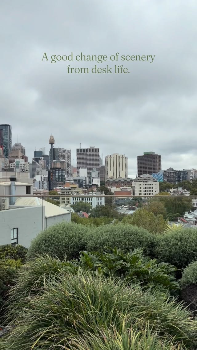 What an absolutely beautiful view from this Roof top space. View our profile too see more photos of this stunning Roof top. @starrlandscapesgroup #gardenmaintenance #foryoupage #reelexplore #reelinsta