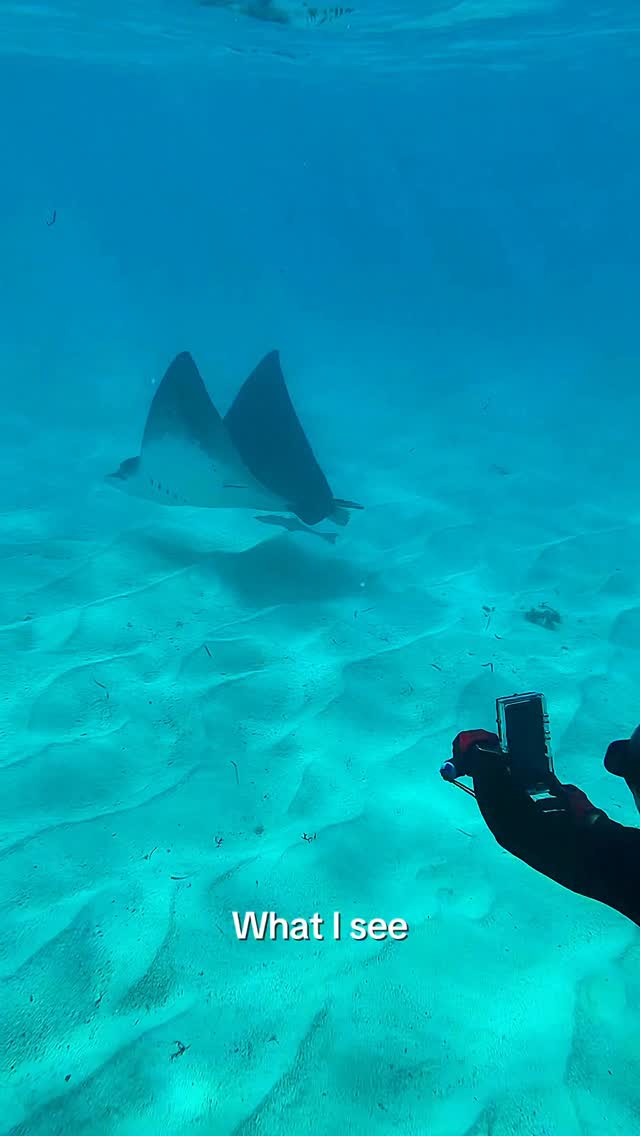 Beneath the surface, the new ProShotCase Android sees it all #ProShotCase #ProShotcaseIphone #ProShotCaseAndroid