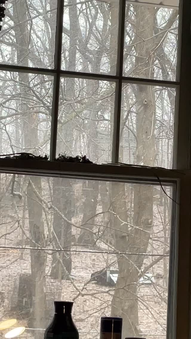 Itβs a good day for cozy reading - with a side of core exercises, of course. #hygge #citywitch #naturewitch