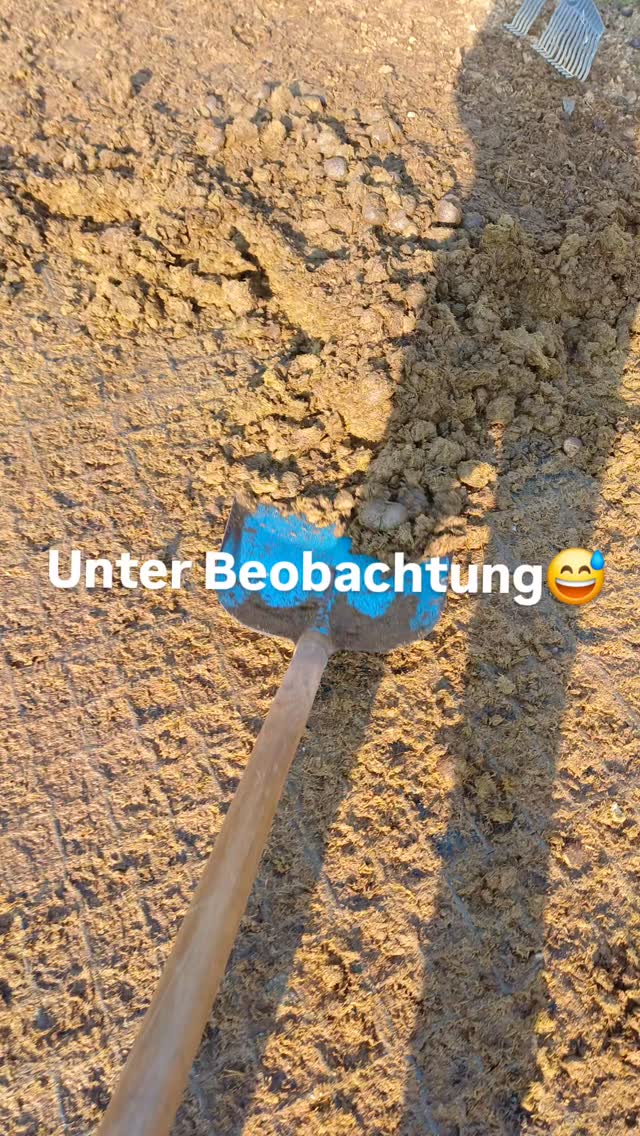 „Die Nachbarn haben alles im Blick.“
#erlebnishof
#südburgenland
#farmlife
#goats
#landleben