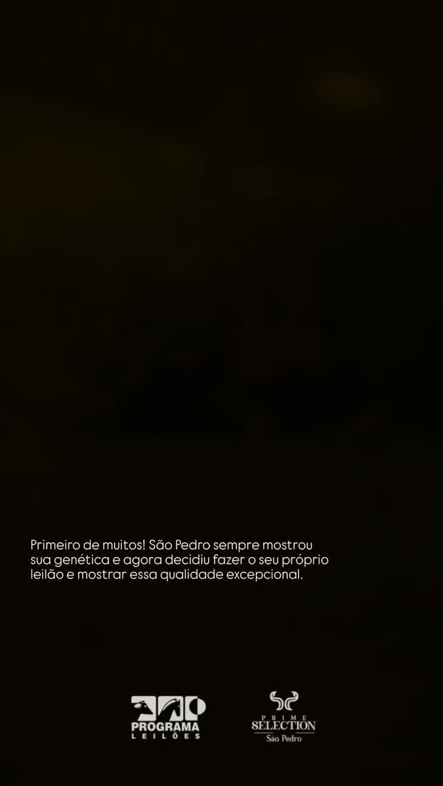 Ontem@tivemos a primeira etapa do Leilão Prime Selection São Pedro, hoje às 19 horas teremos a segunda etapa. Prepare-se