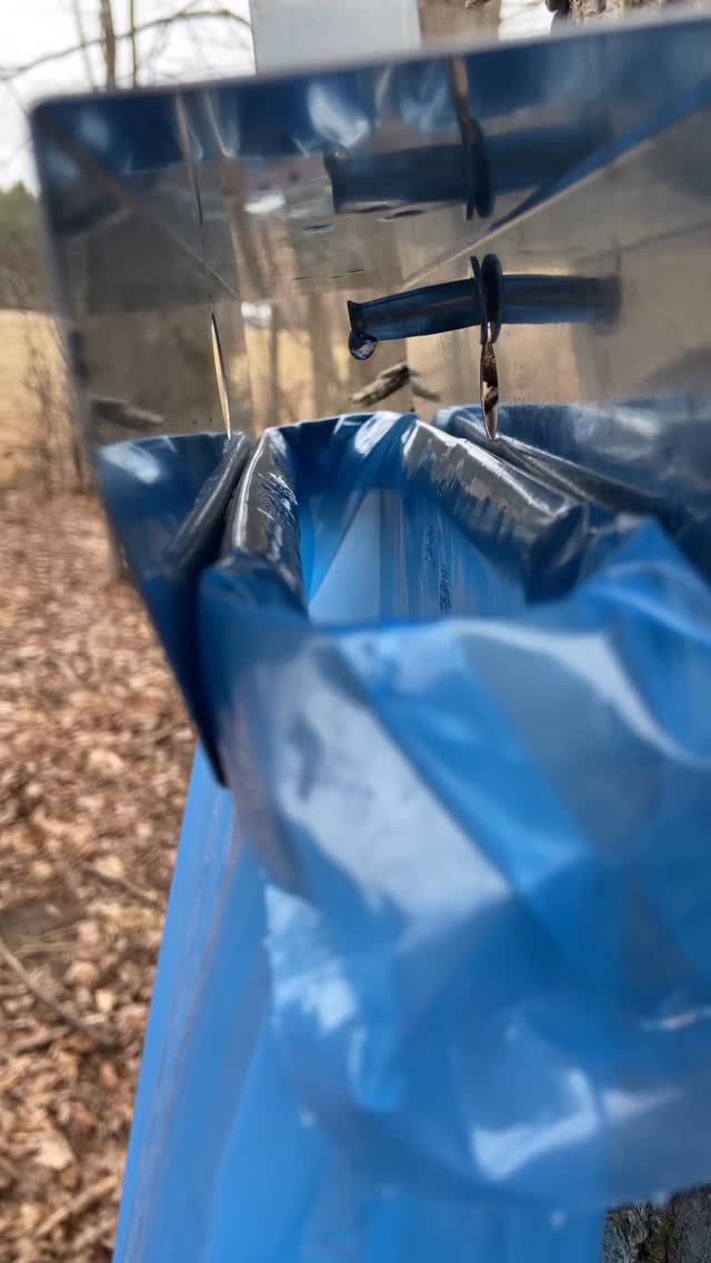 Tis the season! #michiganveterans #gvsualumni #newaygocounty #veteranowned #maplesyrup