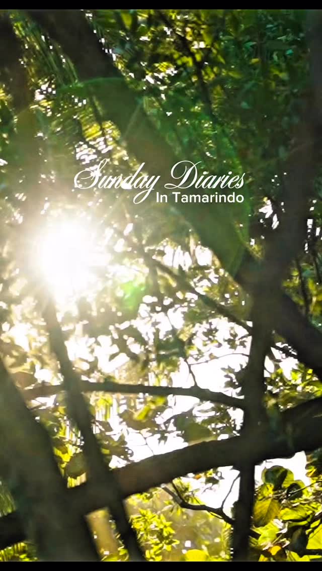 “We measure Sundays differently here.
In ocean air.
In unhurried breakfasts.
In sunsets that turn into firelight on the sand.
In conversations that last longer than the day.
Save this for your next reset.”
#guanacastevacationrentals #tamarindovacationrentals #luxuryvacationrentals #sundaydiaries #costarica