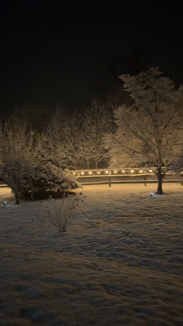 Went out to clear off my low tunnels (full of Ranunculus and Campanula all safely tucked in) so the wet snow didnāt sag the plastic too much- and had to take a minute to enjoy the quiet beauty of it all. I hope everyone is safe and my friends in NYC and New England are managing ok!!
#float #flowerfarm #snow #smallfarm