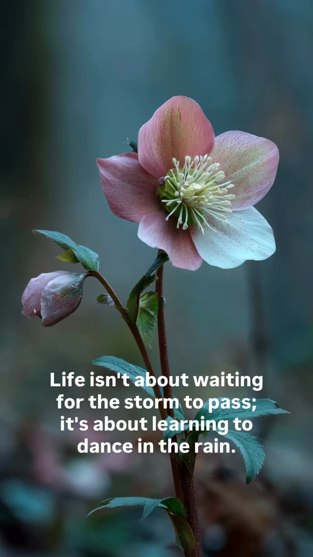 “Life isn’t about waiting for the storm to pass; it’s about learning to dance in the rain.” - Vivian Greene.
Rainy days have their own rhythm.
For me, as a gardener, it’s nature getting on with the real work - soaking the soil, nourishing the roots, preparing for stronger growth ahead.
#rainydayactivities #helleboreseason #flowergrower #flowerfarmerflorist #whidbeyisland
