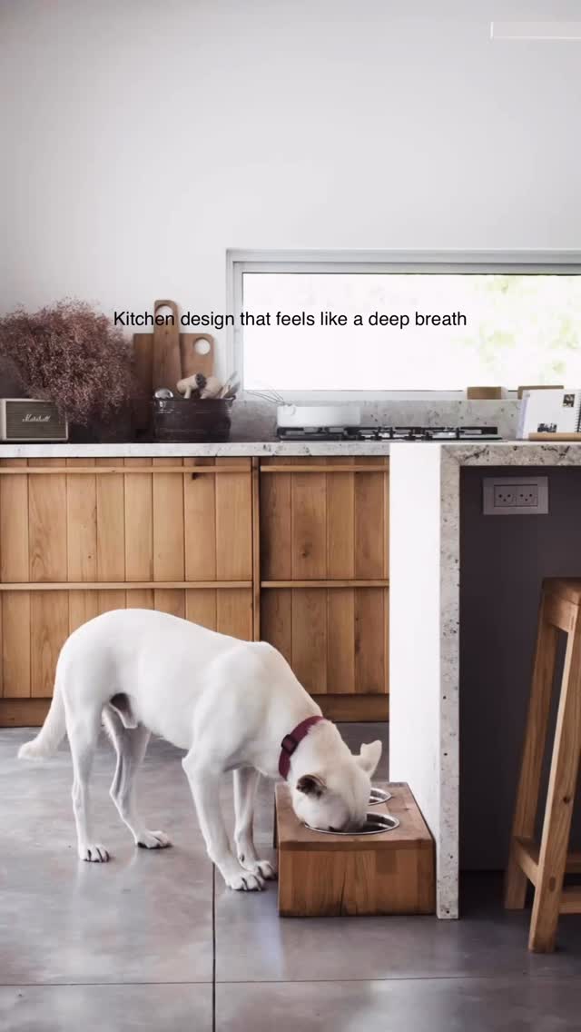 לנשום. שבת של שלום 🫶