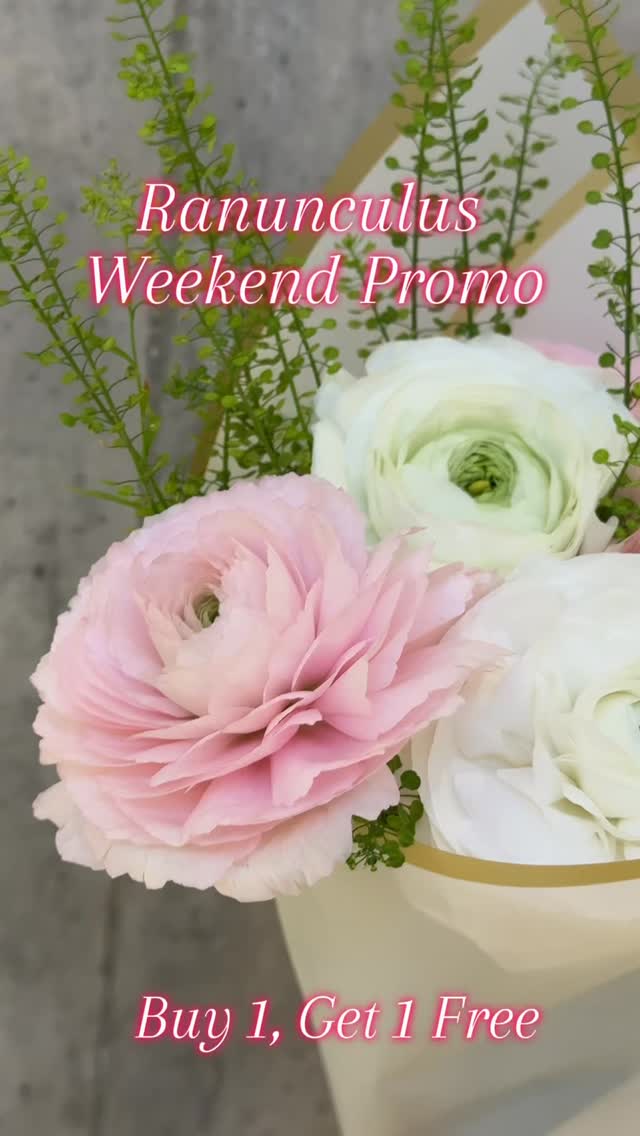 🌸 BUY 1 GET 1 FREE RANUNCULUS 🌸
This weekend only (Feb. 21-22) or until supplies last!
Double the blooms, double the beauty. Whether you’re treating yourself or sharing with someone special, now’s the perfect time 🌷✨
Visit us at Lena’s Floral Designs
📍 Union Station PATH, Toronto
🕛 Monday to Friday 10:30 AM - 7:30 PM
🕚 Saturday and Sunday 11:00 AM - 7:00 PM
For orders and inquiries, email us:
📧 sales@lenasfloraldesigns.com
#unionstation #torontoflowershop #buy1get1free #freshflowers #torontolocalbusinesses