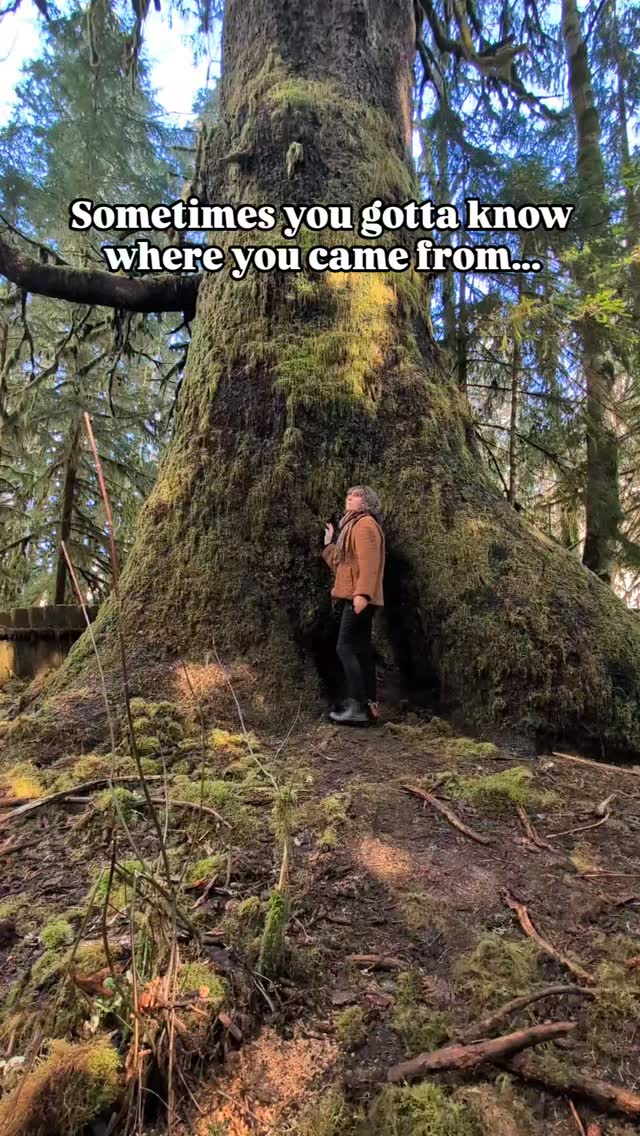 My journey with Forest Learning Tools has been one of resilience and discovery. After enduring long 40-hour weeks, I dedicate whatever remains to fulfilling orders and preparing for markets—each act driven by a steadfast belief in this mission. This year promises to be a pivotal chapter, a significant turning point in an ongoing adventure.
I have explored many avenues in my efforts to nurture this endeavor. Despite setbacks and unrealized hopes, I remain committed to growth. Some ideas flourish, while others fall short—reminding me that progress is often born through perseverance and patience.
Above all, my core purpose is clear: to provide learning resources that are both accessible and distinctive, ensuring that natural resources remain within reach for all.
Reflecting on the past isn’t just a look backward; it’s a means to sharpen focus and illuminate the path forward. Each lesson, each challenge, becomes a stepping stone—a foundation from which to build a more intentional, purposeful future.
🌲Thank you to this beautiful giant Sitka Spruce that is close to 800 years old 🌲
#earlylearning #eceresources #canadianearlychildhood #smallbuisness #handmadewithlove❤️