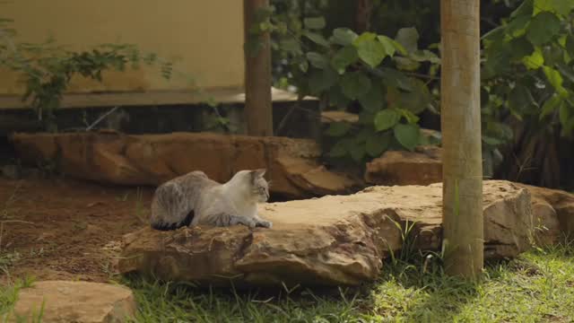 Um novo ano letivo inaugura não só novos espaços, projetos, mas também novas histórias, novos vínculos, novos desafios. A cada estudante e família que chega, um mundo inteiro se desdobra, e entre sorrisos e uma ansiedade boa, começamos a construir o caminhar de 2026.
E seguimos com velhos desafios, em um ano que começa com a urgência de seguir protegendo nossa tão querida Serrinha do Paranoá. Aqui, todos que chegam aprendem que território e natureza são bens que constituem a nossa própria existência, e não mercadoria.
Vídeo por @andstenorio