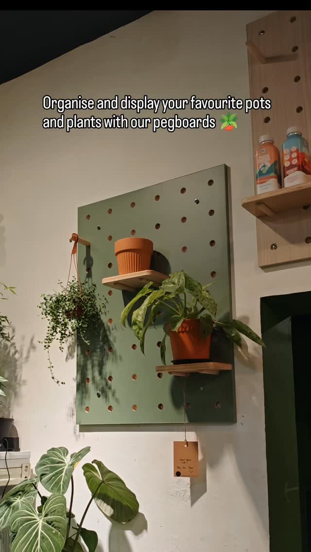 Organise and display your favourite pots and plants. Pegboard size in video is 80cm x 60cm, you can combine several pieces to cover wider area. We also have other sizes 60cm x 60cm, 120cm x 80cm
DM us to purchase or for more info.
#walldecor #plantdisplay #potsandplants