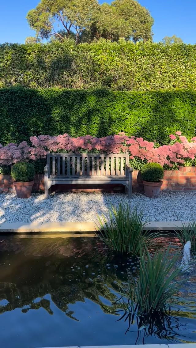 A perfect afternoon in the Sunken Garden. The Sedum Autumn Joy are looking their best!
@visitmacedonranges
@piperstkyneton
@airbnb
The Old Rectory is listed by @nationaltrustvic
#kynetin
#visitkyneton
#oldrectory
#oldrectorygarden
#sedumautumnjoy