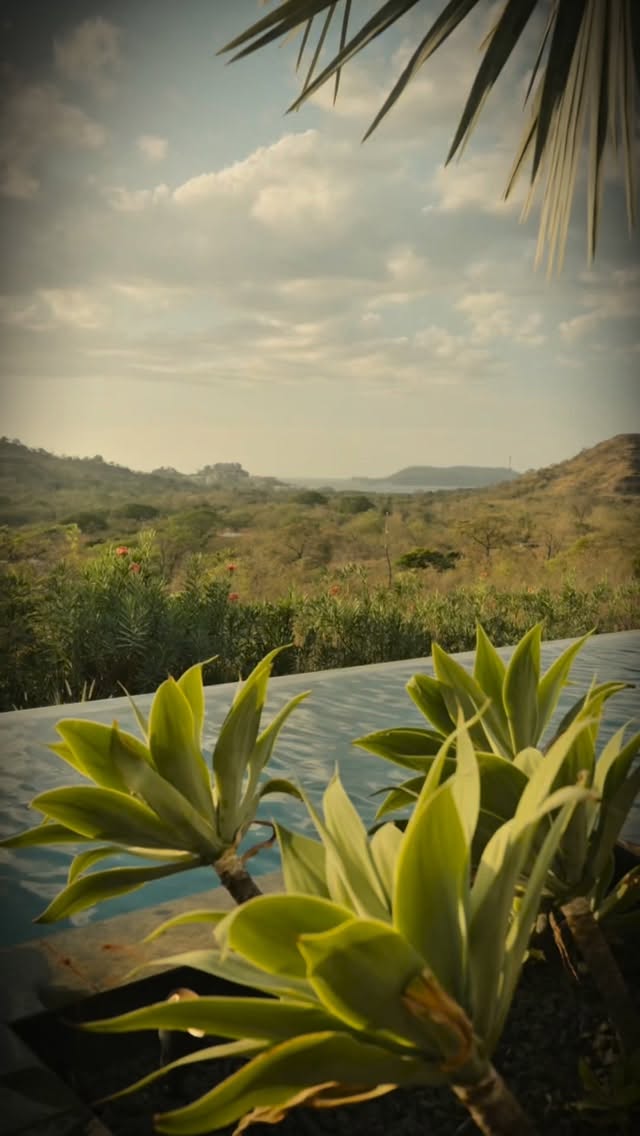 “If February felt like this —
would you slow down?
Pool mornings.
Ocean afternoons.
Wildlife crossing just beyond your terrace.
Firelight under an open sky.
Not everything unforgettable needs to be loud.
Save this for when you’re ready to feel it differently.”
#guanacastevacationrentals #tamarindovacationrentals #luxuryvacationrentals #endoffebruary #costarica