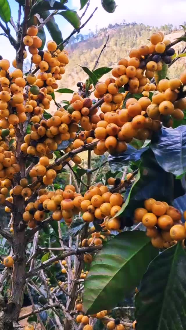 🌝🤩