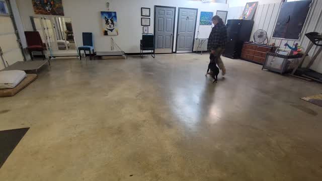 Starting the stationary positions with Ziggy!