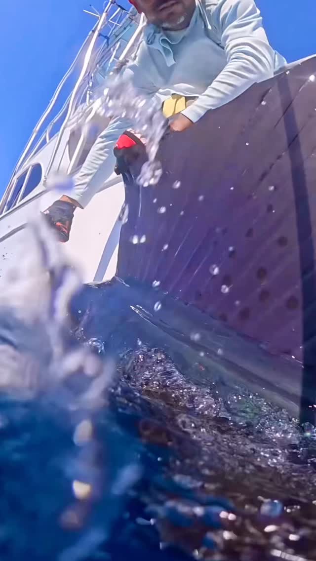 Hot 🔥 Fishing 🎣. Enjoy the moment and Fish with INTENSITY!!! We have availability in May/June.