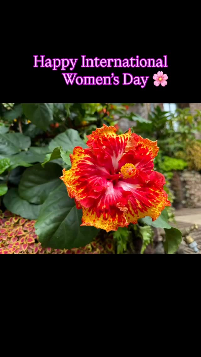 Happy International Women’s Day 🌸
Today we celebrate the strength, resilience, and achievements of women everywhere. From breaking barriers to inspiring change, women continue to shape our communities, workplaces, and future.
Let’s keep supporting, uplifting, and empowering one another — today and every day.
#InternationalWomensDay #IWD #EmpowerWomen #CelebrateWomen