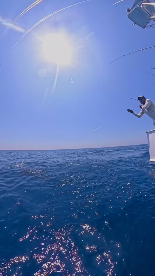 Over the last seven days of Fly Fishing “Intensity” released 98 sailfish from 203 bites. Really good fly fishing. Dm if you’re interested in billfishing On Fly.