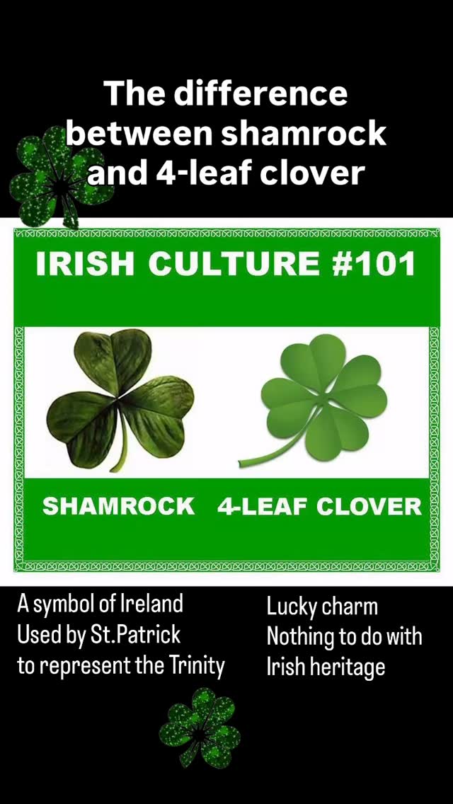 Shamrock ☘️ vs. 4-Leaf 🍀 : Do you know the difference?
If you’re celebrating Irish heritage, the Shamrock (3 leaves) is your best friend! It’s the true symbol of Ireland, famously used by St. Patrick to explain the Holy Trinity. 🇮🇪
The 4-leaf clover? That’s a rare genetic mutation! While it’s a global sign of good luck, it’s not actually the official emblem of the Emerald Isle. 🌈✨