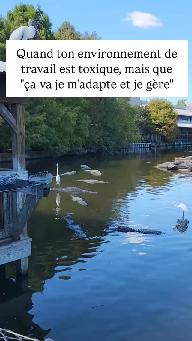 Semaine dernière, ma cliente me disait être "trop sensible" 👇
Elle me racontait qu'elle ne s'éclatait pas avec ses collègues mais qu'elle se faisait violence pour s'intégrer.
Elle n'aime pas les "piques" mais ça fait partie de l'ambiance de l'entreprise 🤷🏼♀️
Qu'elle a reçu un mail agressif d'une supérieure qui l'infantilisait et remettait en cause ses compétences professionnelles.
Qu'elle s'était clairement "faite pourrir".
Mais que suite à un entretien, on lui avait dit que c'était elle, qu'elle "était trop sensible".
Qu'il fallait qu'elle s'endurcisse.
👉 NON !
C'est pas la 1ère fois qu'en séance je vois qu'on normalise et banalise les violences au travail.
Car oui c'est violent : humiliation, dénigrement, blagues dégradantes, mépris, surnoms humiliants...
Et les conséquences de cette violence ne sont pas anodines : baisse de l'estime de soi, stress émotionnel constant, dégradation de la santé physique, isolement...
On arrête de normaliser tout ça ?
Tu n'as pas à subir ces agressions quotidiennes.
Ce n'est pas à toi de "prendre sur toi". Ou de t'adapter.
Le monde du travail peut être violent, c'est important d'en avoir conscience. Et de s'en protéger.
Trouve ta place 🧡
#coachingprofessionnel #trouversavoie #changerdevie #intelligenceemotionnelle
