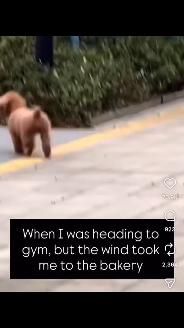 Shoeeeee weeee. That wind!