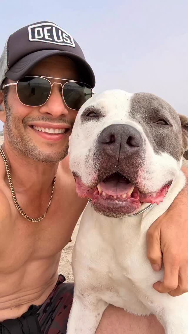 1 or 2? 🐶😃