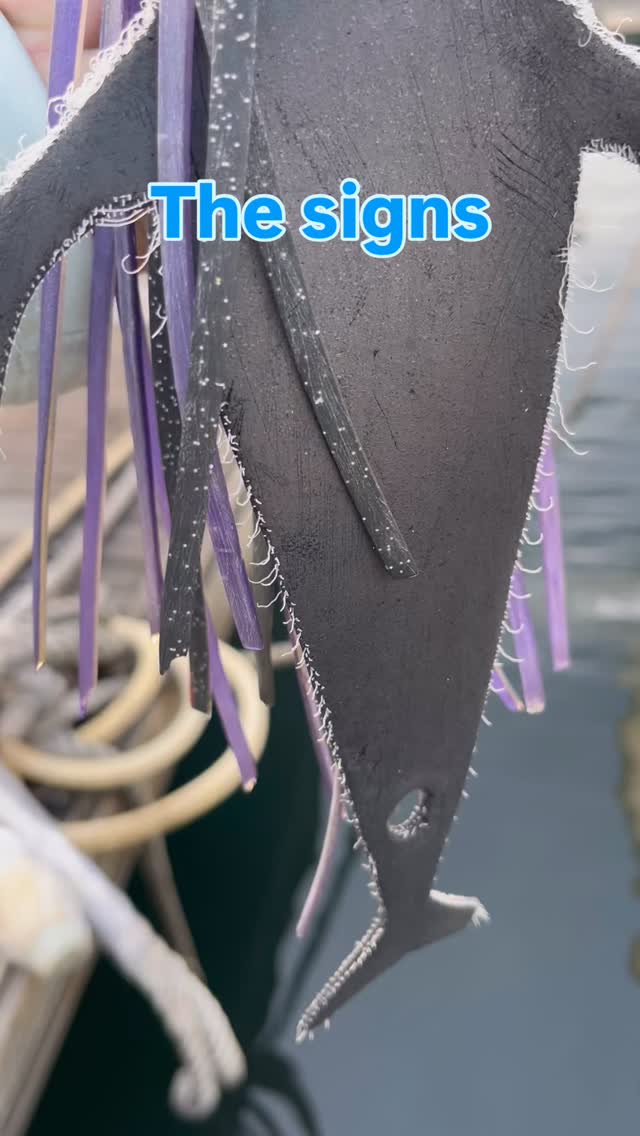 This Mudflap has seen a few Marlin.