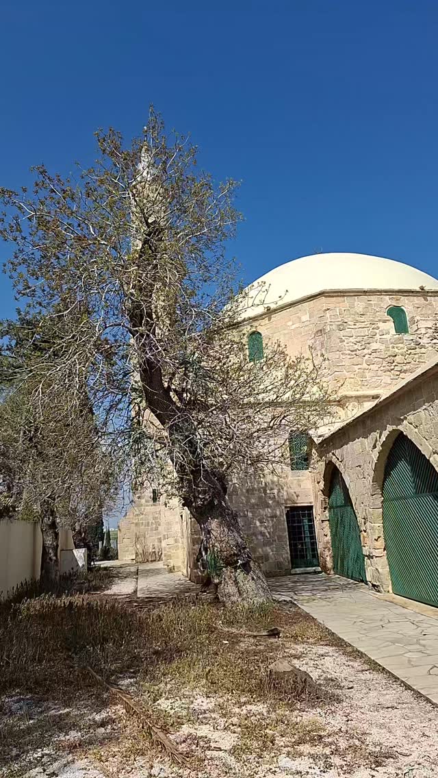 #muslimtravelers #islamictravel #halasultantekke #naqshbandihaqqani #naqshbandi