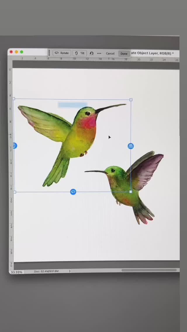 Sorry about the wobbly video! 😄 But seriously — Photoshop just dropped Rotate Object in their beta program and WOW. It’s wild isn’t it? It would probably work much better on a realistic image than my stylized hummingbird watercolor, but I was just playing around with it.
A very welcome distraction from the madness going on right now. Which is deeply disturbing. But that’s for another post. 🎨
#PhotoshopBeta #RotateObject #PhotoshopTools