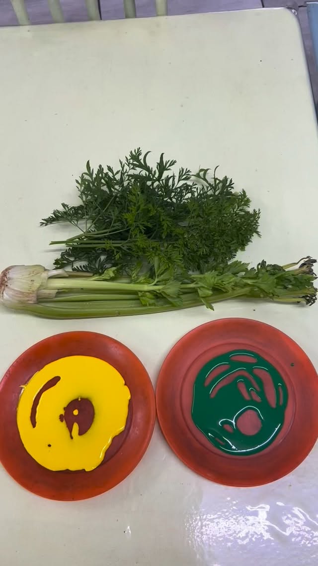 Who knew that vegetables could make such wonderful art!🥕Our children had so much fun using celery and carrot tops to stamp and print, turning simple vegetables into beautiful masterpieces! What an easy fun sensory art experience combining art , nature and our vegetable theme. #preschool #montessoripreschool #playgroup #education #toddler
