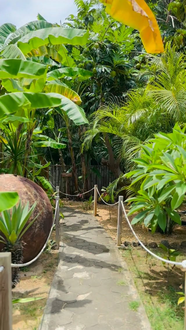 Come for the food, stay for the vibe 🌿🥞
Your healthy & tasty escape in the north of
Mauritius
📍 The Good Café
Open to all 🤍 from 8am till 3pm
Tuesday to Saturday
#TheGoodCafe #BrunchMauritius
#FoodieLife #IslandEats #GoodVibes