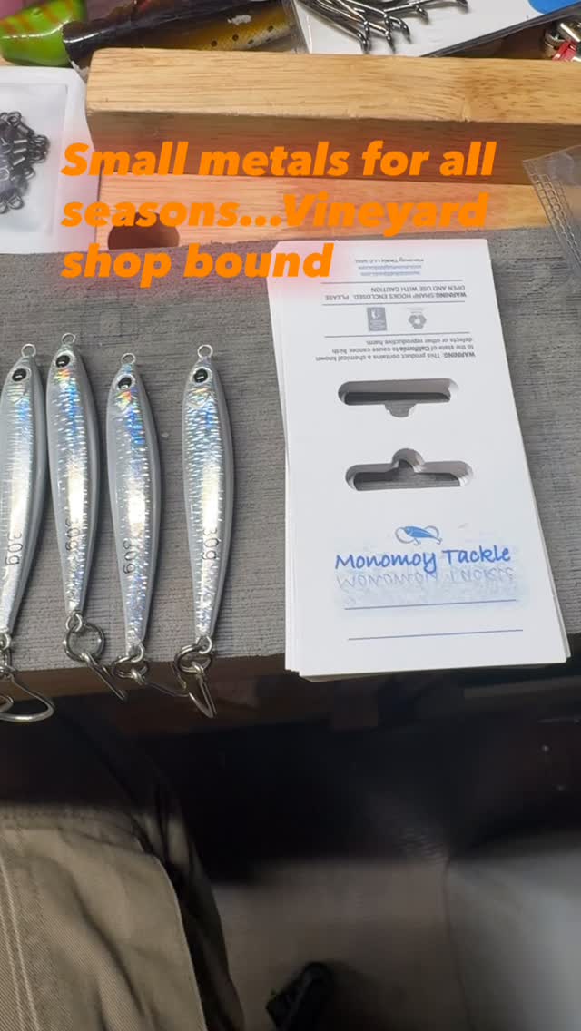 ‘Heavy Bait’ jigs cast like bullets and are a great lure year round to match the tiny bait. @larrystackle
