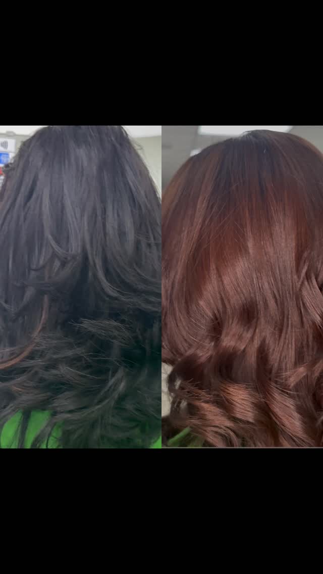 #colorreverse #colorhair #hairshine