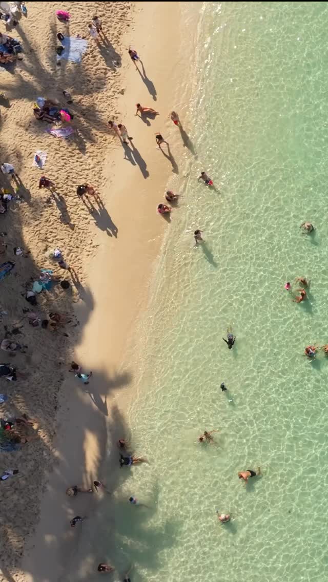 Qué tal si pasamos las vacaciones de #SemanaSanta en este espectacular hotel? 🤩✨
San Andrés es tu opción perfecta para estas vacaciones. Encuentra los mejores planes vacacionales en familia para esta temporada @hoteleldoradosai
#visitasanandres
Información y reservas: 📞317 4011354
.
.
#SanAndresIslas #DoradoSai