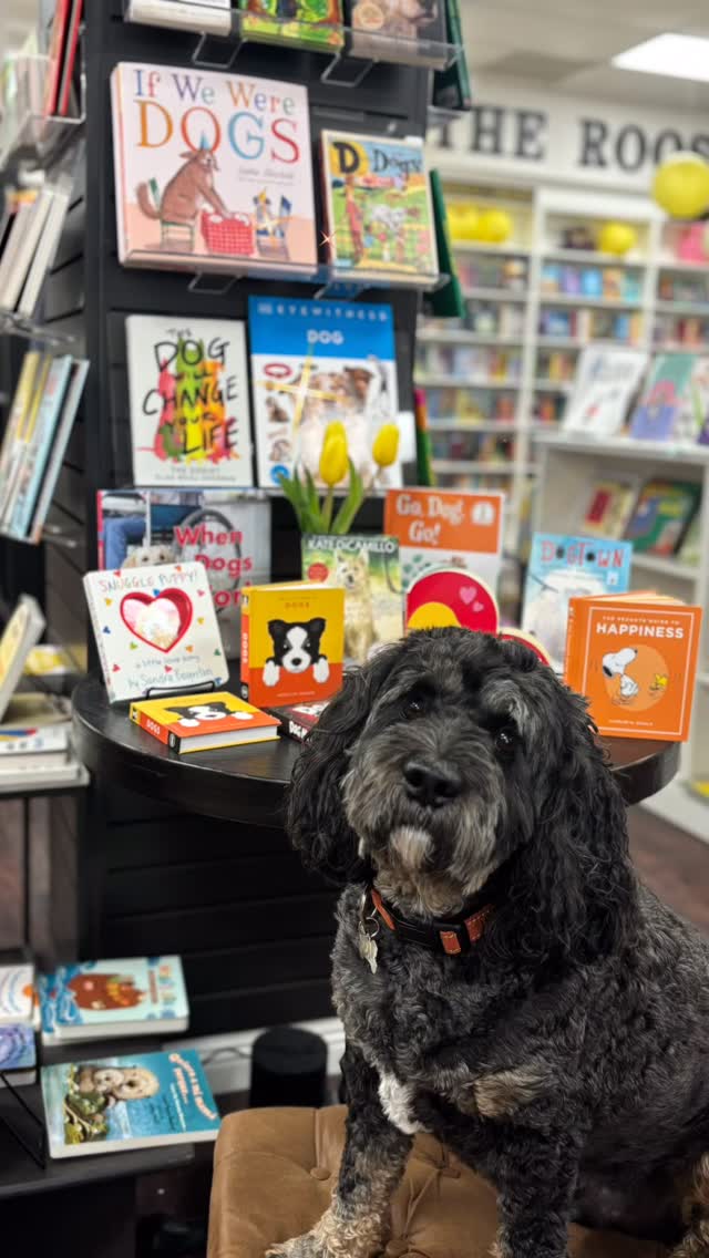 Attention 🐶 lovers
Our new dog book display is approved by our favorite, furry family member… Bear!
From Snoopy to a new best seller “If we Were Dogs” to the classic like Because of Winn-Dixie!
It’s Spring-like weather ☀️☀️ this weekend we look forward to seeing you and welcoming all furry friends!
#welovedogs #snoopy #independentbookstore #womanowned