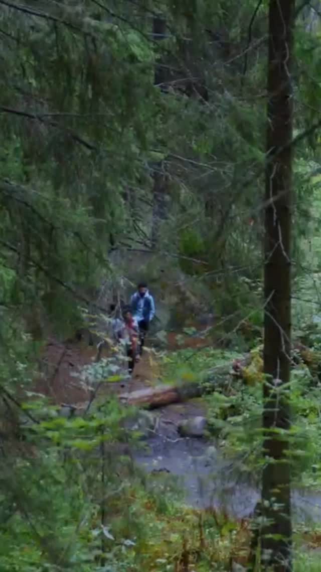 🇷🇴
Nu am fost făcuți să ne mișcăm doar între pereți.
Există un alt ritm afară—un ritm care liniștește mintea, reglează respirația și readuce corpul în echilibru. Mersul în natură nu este doar o activitate: susține sănătatea metabolică, echilibrul sistemului nervos și starea de bine pe termen lung—mai mult decât începem abia acum să înțelegem.
La Fox Chalet, relaxarea activă face parte din experiență.
O drumeție ghidată este inclusă în fiecare ședere—o invitație de a ieși afară, de a te reseta și de a te reconecta.
Vino pentru liniște. Rămâi pentru felul în care te simți după.
🇬🇧
We weren’t meant to move only between walls.
There is a different rhythm waiting outside—one that slows the mind, steadies the breath, and gently brings the body back into balance.
Walking in nature is not just a pastime.
It supports metabolic health, nervous system regulation, and long-term wellbeing in ways we are only beginning to fully understand.
At Fox Chalet, the trail is part of the experience.
One guided hike is included with every stay—an invitation to step outside, reset, and reconnect.
Come for the quiet. Stay for how you feel after.
🔗// Learn more in our bio link
#FoxChalet | #Bucovina | #romaniahike | #SlowTravel | #NatureHeals | #responsibletravel #regenerativetravel