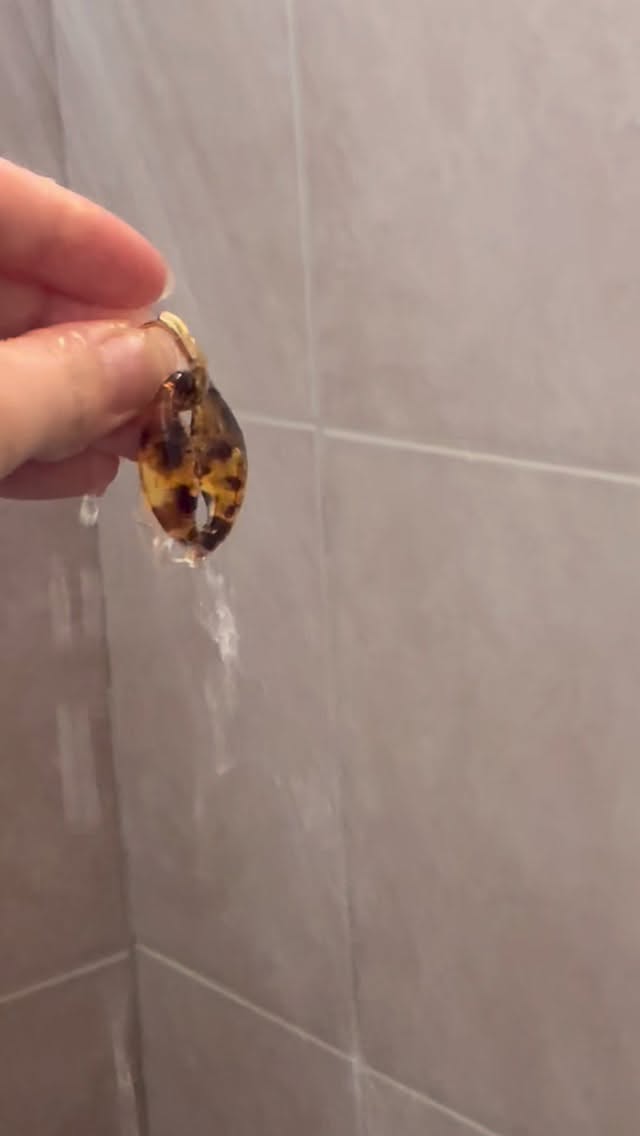 Designed to be waterproof.
Unexpectedly… cat-proof. 🐱✨
.
.
.
.
.
#seesea #lovefromthesea #waterproofjewelry #tarnishfreejewelry #goldjewelry