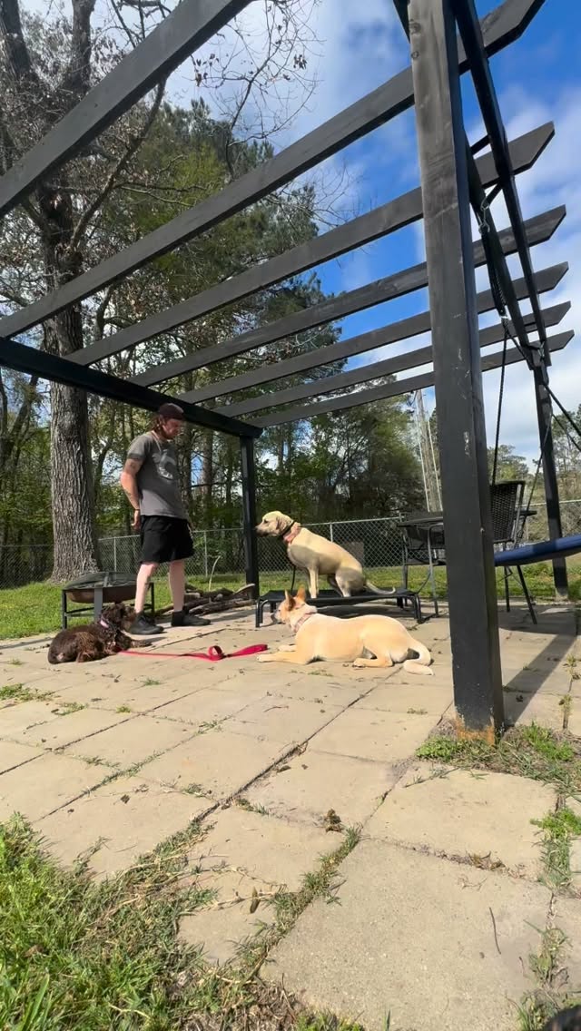 Good boys and girls this morning