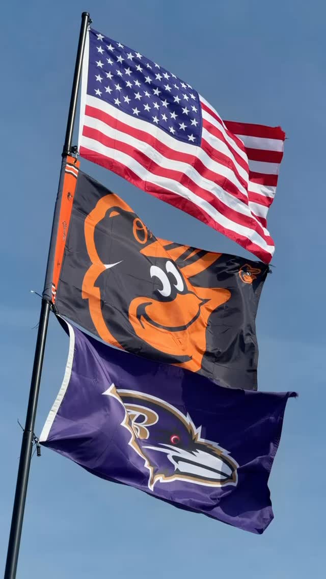 How ‘bout dem O’s, hon!
#dumpsters #jobsitesuccess #baltimoreorioles #portabletoilet