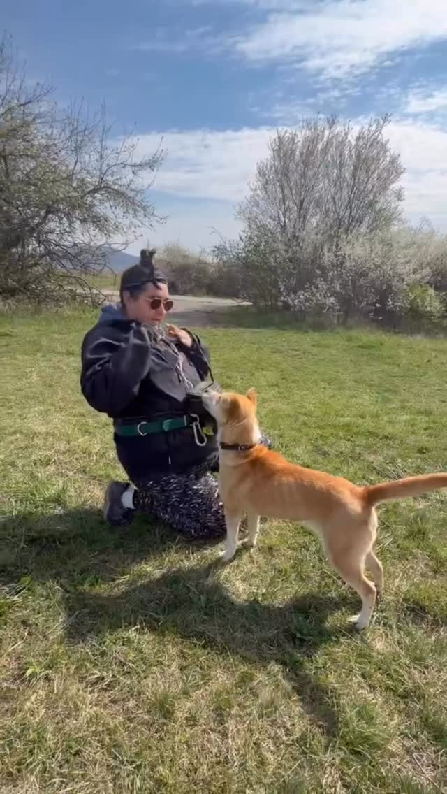Mein Herzensprojekt in Ungarn ♥️
Wir haben viel geschafft und eins steht fest: wir kommen wieder!
Du willst helfen❓
Dann melde dich per PN