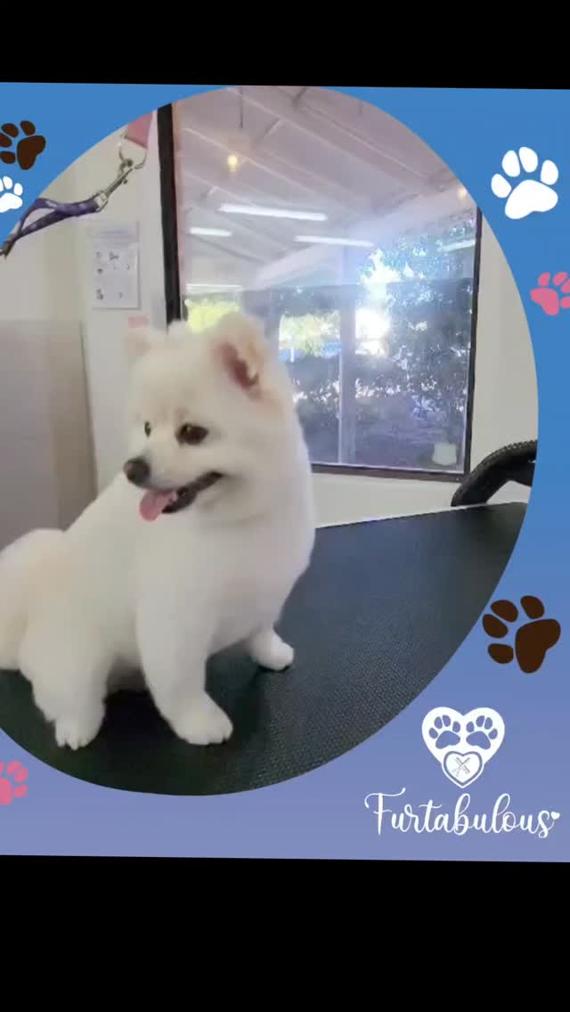 Tiffany is too cute! 😍😍